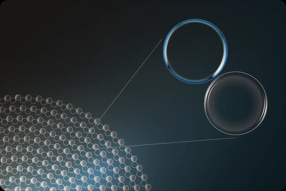 Twins 非等量排布结构示意